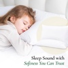 image:imageFern and Willow Premium Bed Pillows  Set of 2 26x20  Luxurious UltraSoft Cooling Pillow  Hotel Quality Down Alternative Fill Medium Firm Support for Side Back amp Stomach SleepersQueen Plush Pack of 2