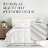 image:imageLinen Market Bed Skirt  Ultra Soft Microfiber  Easy Fit with 14 Inch Tailored Drop  Hotel Quality Shrinkage amp Fade Resistant  Bed Cover  Queen Bed Set  Bedroom Dcor  Light GrayWhite