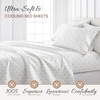 image:imageLinen Market DoubleBrushed Microfiber Queen Sheet Set 4 Piece  OekoTEX Certified Ultra Soft amp WrinkleFree  16 Deep Pocket Sheets  Easy Care Queen Size  IvorySoft Floral Light Blue