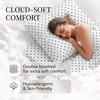 image:imageLinen Market DoubleBrushed Microfiber Queen Sheet Set 4 Piece  OekoTEX Certified Ultra Soft amp WrinkleFree  16 Deep Pocket Sheets  Easy Care Queen Size  IvorySoft Dots Navy
