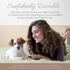 image:imageLinen Market DoubleBrushed Microfiber Queen Sheet Set 4 Piece  OekoTEX Certified Ultra Soft amp WrinkleFree  16 Deep Pocket Sheets  Easy Care Queen Size  IvoryPuffed Chevron Sage