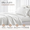 image:imageLinen Market DoubleBrushed Microfiber Queen Sheet Set 4 Piece  OekoTEX Certified Ultra Soft amp WrinkleFree  16 Deep Pocket Sheets  Easy Care Queen Size  IvoryBurst of Vines Gray
