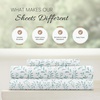 image:imageLinen Market DoubleBrushed Microfiber Queen Sheet Set 4 Piece  OekoTEX Certified Ultra Soft amp WrinkleFree  16 Deep Pocket Sheets  Easy Care Queen Size  IvoryBurst of Vines Light Blue