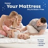 image:imageMemory Foam Mattress Protector  Cotton EcoFriendly Greenshield Water Resistance KoolFlow Breathable Stretch Fabric All USA Made Best for PillowTop amp Bed Topper Pads  Twin Extra Long