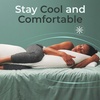 image:imageSnugglePedic Body Pillow for Side Sleepers for Adults  Full Body Maternity Pillow Support Legs Belly amp HIPS  Shredded Memory Foam amp Cooling Pregnancy Pillow Cover  20x54 NavyLight Gray