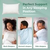 image:imageSnugglePedic Standard Shredded Memory Foam Pillow for Sleeping  Cooling and Neck Back and Shoulder Support  Ideal for Side Sleepers Pregnancy Dorm Rooms and Travel  USA QualityStandard  Supreme